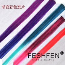 FESHFEN漸變色假發片彩色女款一片式挑染接發無痕彩發片直發頭發